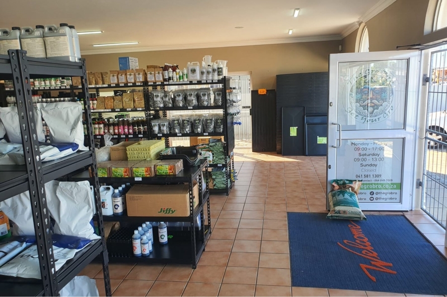 Commercial Property for Sale in Walmer Eastern Cape